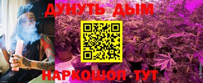 прущие крисы Будённовск