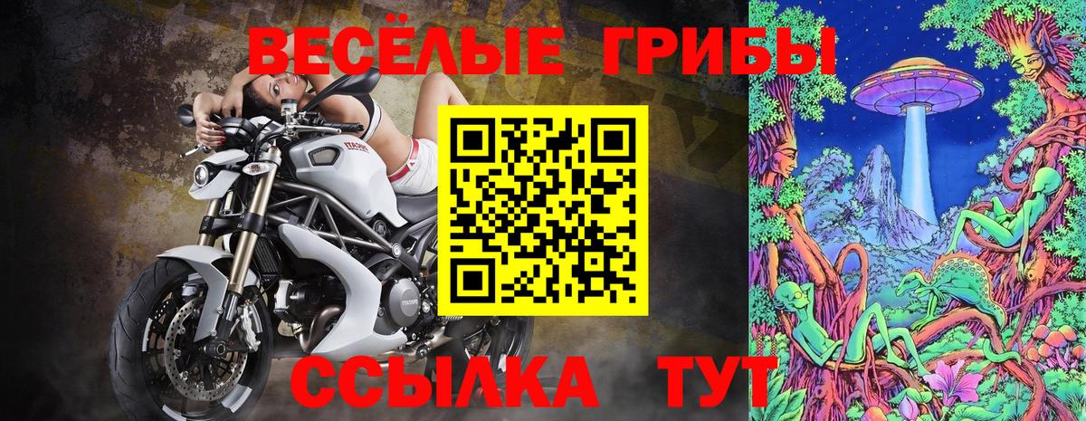 Галлюциногенные грибы Magic Shrooms Курганинск